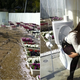 Image for article titled Japan's Newest Tourist Trap: Toilets